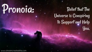 pronoia-587x330-4