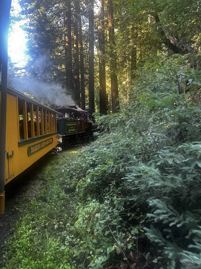 Steam engine going through Redwood Forest showing the journey of strength and resilience.