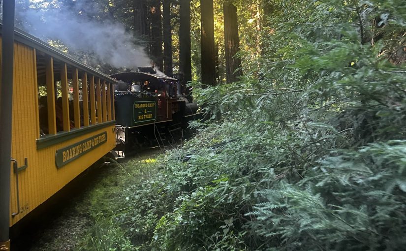 Deep Roots, Tracks Ahead