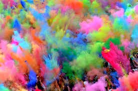 Holi Everyday.